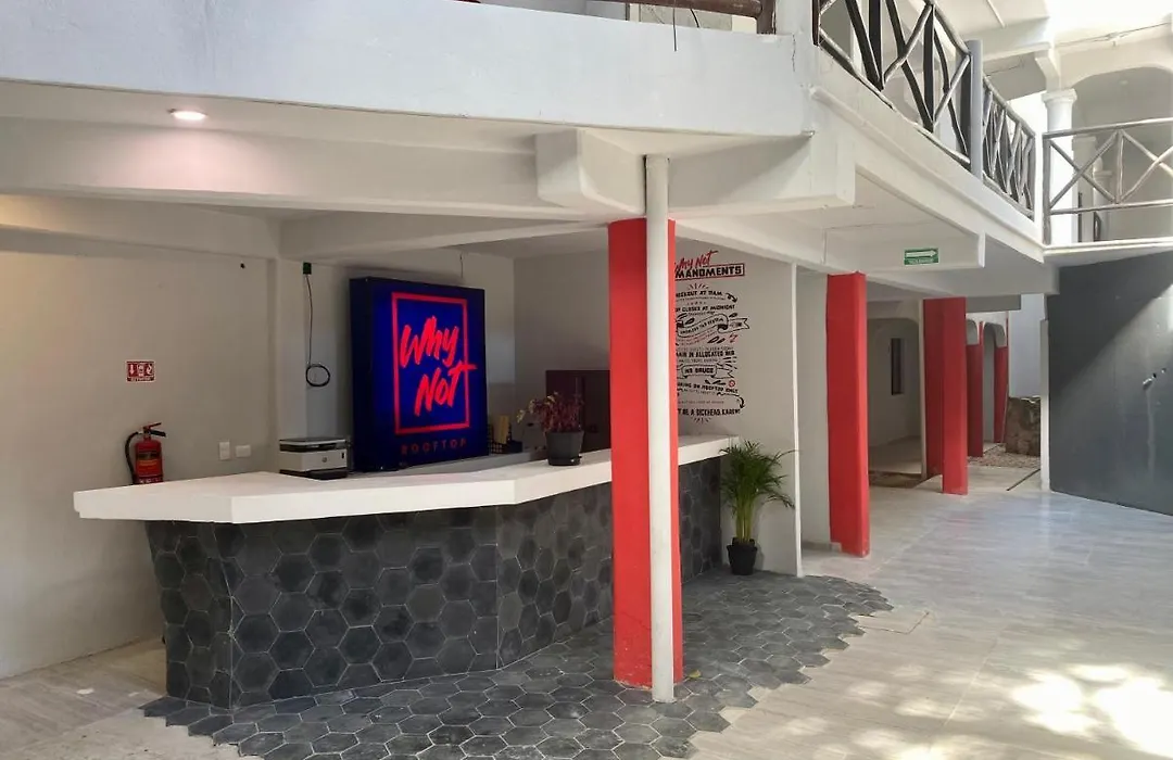 Why Not Rooftop Party Hostel-1
