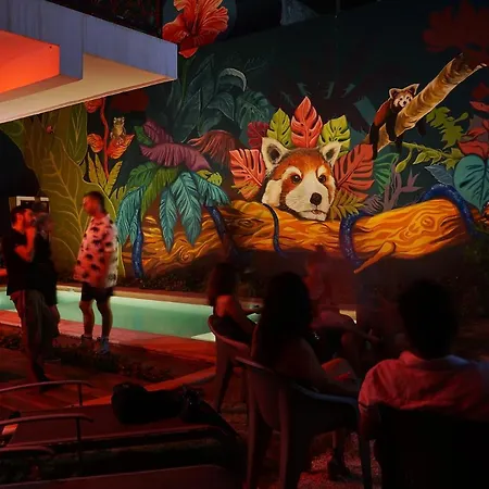 Red Panda Hostal-2