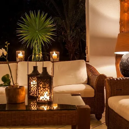 Hotel Las Palapas By Mahekal-3