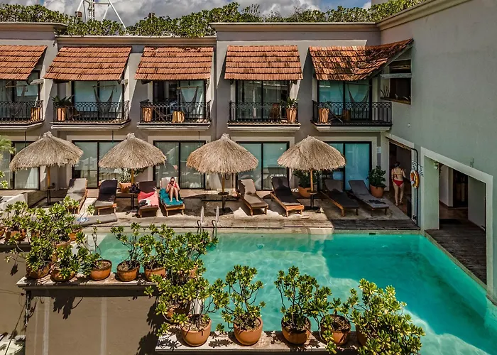 Caribbean Paradise Hotel & Spa - 5Th Avenue Playa del Carmen - Hôtel 4 étoiles